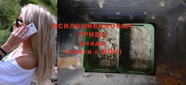 прущий лед Армянск