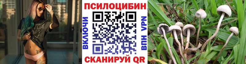 сколько стоит  Чудово  Галлюциногенные грибы GOLDEN TEACHER 